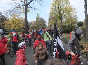 Fahrradstau in Bonn
